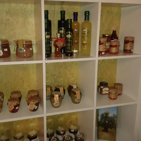 Bed & Breakfast Onirica Lodano